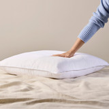 Classic Collection European Pillow [PTBCCEUOP16]