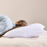 Classic Collection European Pillow [PTBCCEUOP16]