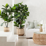 Artificial Fiddle Leaf Fig [MUSLFTREE17]