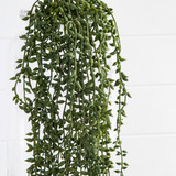 Artificial Succulent Budding Seed Stem [HABLSUCCU19D]