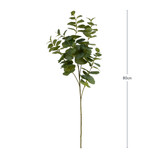 Eucalyptus Branch [HABLEUCAL20]