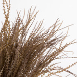 Wheat Grass Bush [HABWHEAT21]