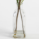 Banksia in Bottle [MUSLBANKS21]