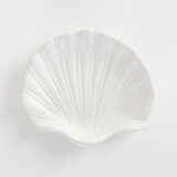 Matte White Scallop Shell [MUSLSCALL20B]