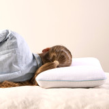 Relax Therapy Latex / Memory Foam Pillow [HILBRTCOM19]