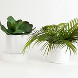 Artificial Elly Potted Succulent [MUSLELLPSS22]