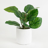 Artificial Elly Potted Succulent [MUSLELLPSS22]