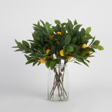 Artificial Lemon Tree Stem in Green by MUSE | 1x Artificial Flower Stem - Pillow Talk