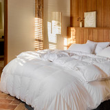 Winter 90/10 Goose Down Quilt [GREBWINTE22]