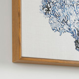 Coral Framed Canvas Wall Art [HABLCORAF23]