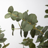 Artificial Eucalyptus Tree [MUSHECUTS23]