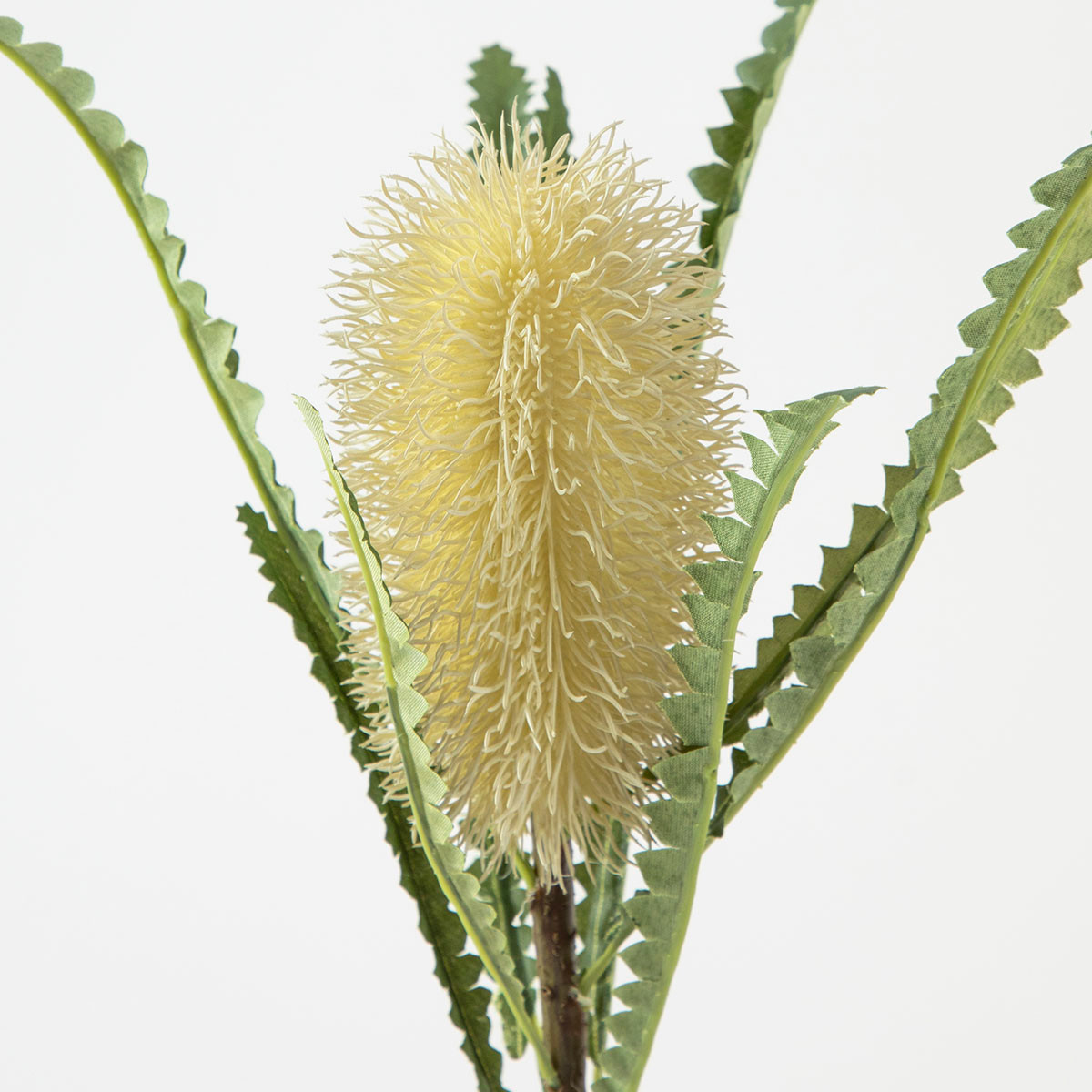 Australian Native Flowers – Faux Natives & Banksias