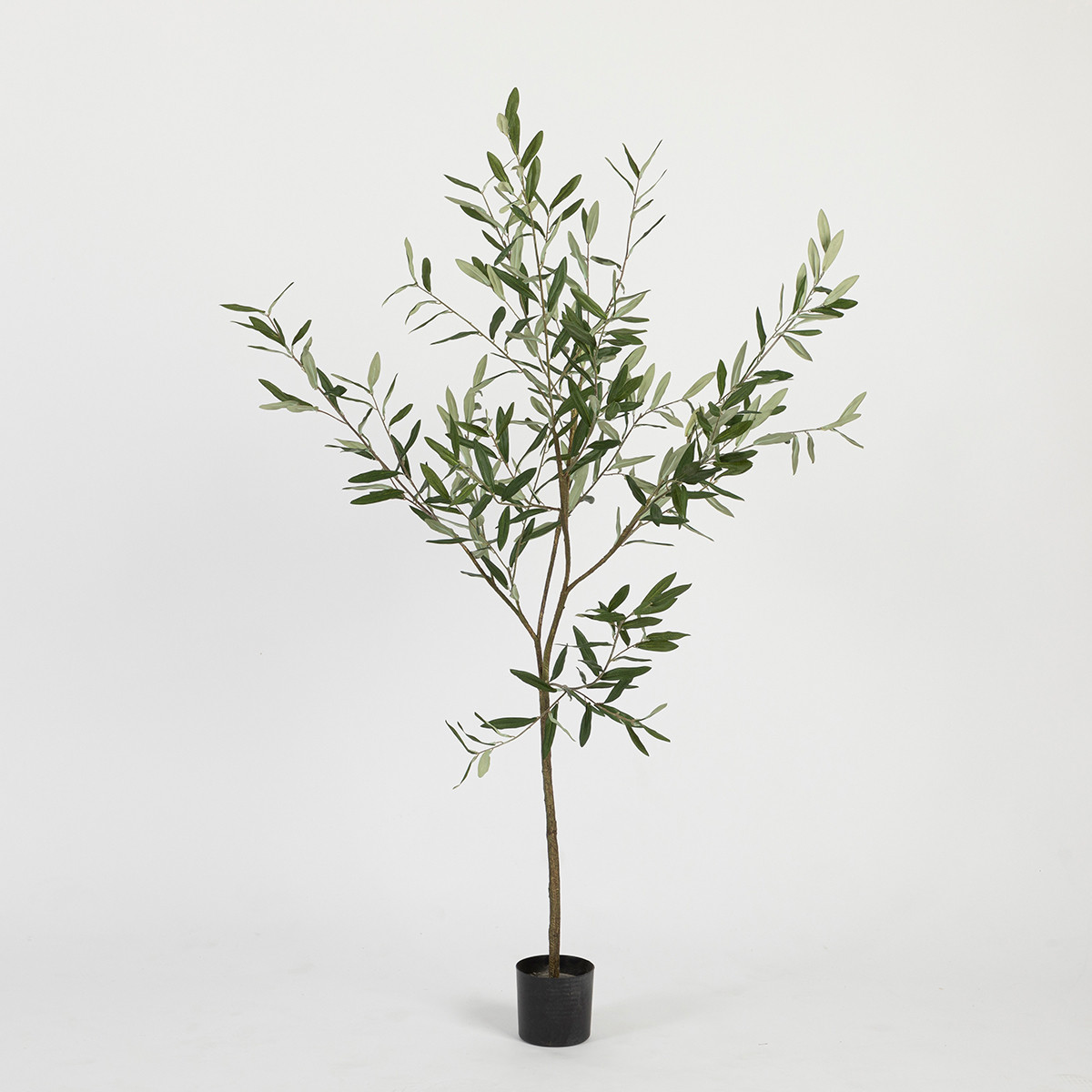 Artificial Fruitless Olive Tree - Pillow Talk