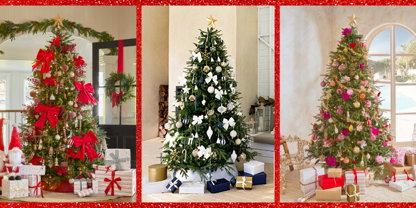 Three Christmas trees are pictured. On the left is a Christmas tree with a traditional decor theme. In the middle is a Christmas tree with a coastal decor theme. On the right is a Christmas tree with a colourful Fiesta decor theme. 