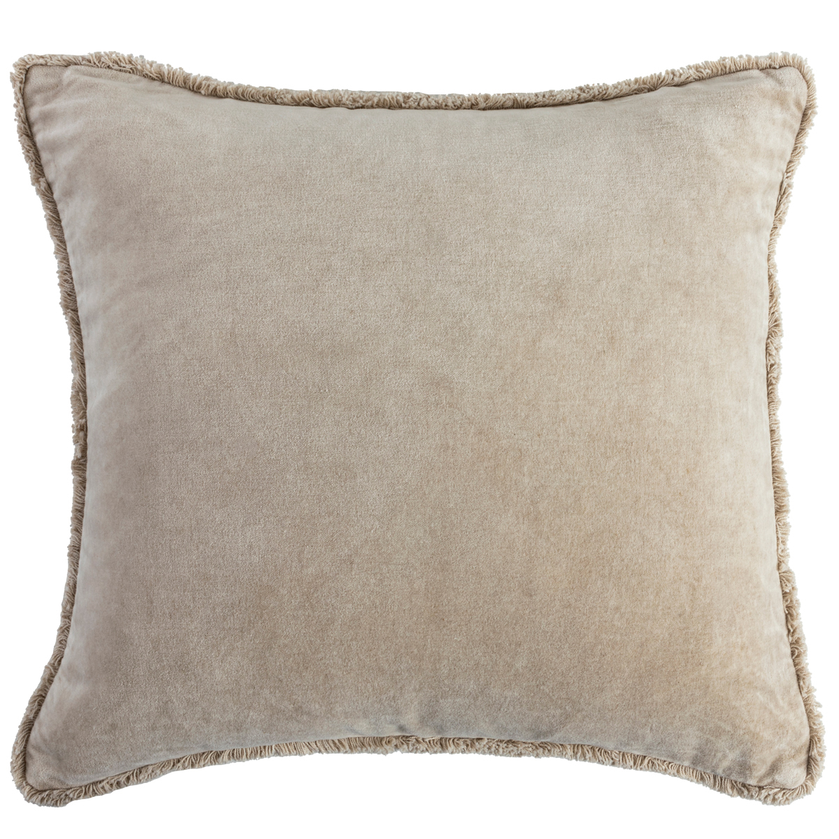 Valencia Velvet Feather Cushion - Picture 10 of 12
