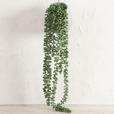 Maya Jelly Bean Hanging Potted Plant [MUSLMAYAH19B]