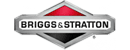 Briggs and Stratton