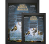 Spanish The Three Theological Virtues Explained Poster