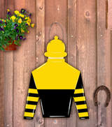 Jockey Silk with Helmet Door Hanger