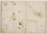 Sheet of Miscellaneous Studies - Leonardo Da Vinci