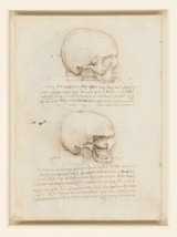 Anatomical Drawing of a Skull - Leonardo Da Vinci