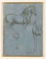 Studies of a Horse - Leonardo Da Vinci