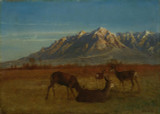 Deer in Mountain Home - Albert Bierstadt