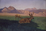 Deer - Albert Bierstadt