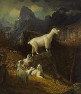 Rocky Moutain Goats - Albert Bierstadt