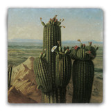 "View from Maricopa Mountain near the Rio Gila" Tumbled Stone Coaster