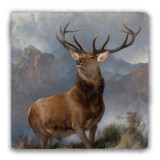 "The Monarch of the Glen" Tumbled Stone Coaster
