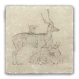 "A Herd of Deer Grazing in the Park" Tumbled Stone Coaster