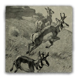"Antelope Hunting" Tumbled Stone Coaster