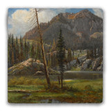 "Southern Sierra, Nevada" Tumbled Stone Coaster