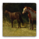 "Two Horses" Tumbled Stone Coaster