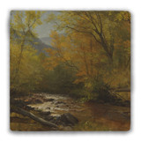 "Brook in the Woods" Tumbled Stone Coaster