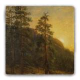 "California Redwoods" Tumbled Stone Coaster