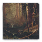 "Giant Redwood Trees of California" Tumbled Stone Coaster