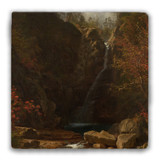"Glen Ellis Falls" Tumbled Stone Coaster