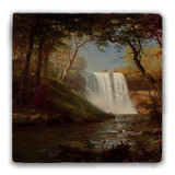 "Minnehaha Falls" Tumbled Stone Coaster