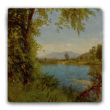 "South and North Moat Mountains" Tumbled Stone Coaster