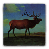 "Elk" Tumbled Stone Coaster