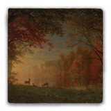 "Deer by a Lake" Tumbled Stone Coaster