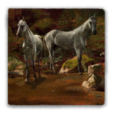 "Study of Wild Horses" Tumbled Stone Coaster