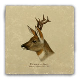 "European Roe" Tumbled Stone Coaster