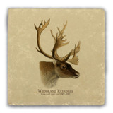 "Woodland Reindeer" Tumbled Stone Coaster