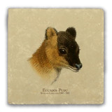 "Ecuador Pudu" Tumbled Stone Coaster