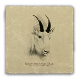 "Rocky Mountain Goat" Tumbled Stone Coaster