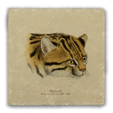 "Ocelot" Tumbled Stone Coaster