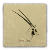 "Beatrix Oryx" Tumbled Stone Coaster